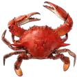 hboxCrab